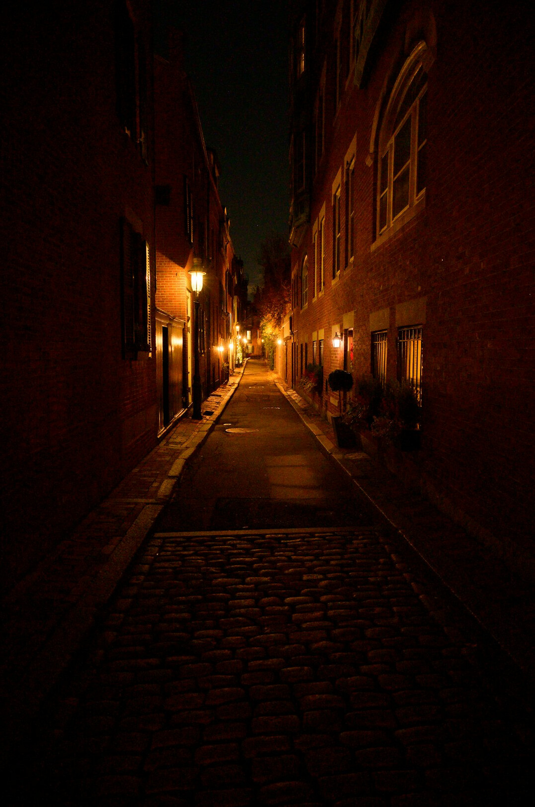 Empty city street at dusk with warm street lights